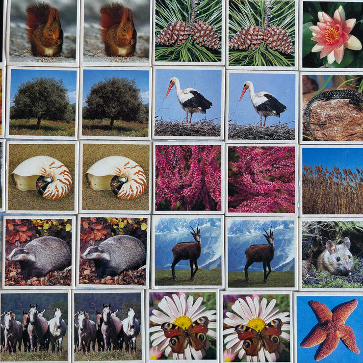 Jeu Je mémorise Mémo Nature
