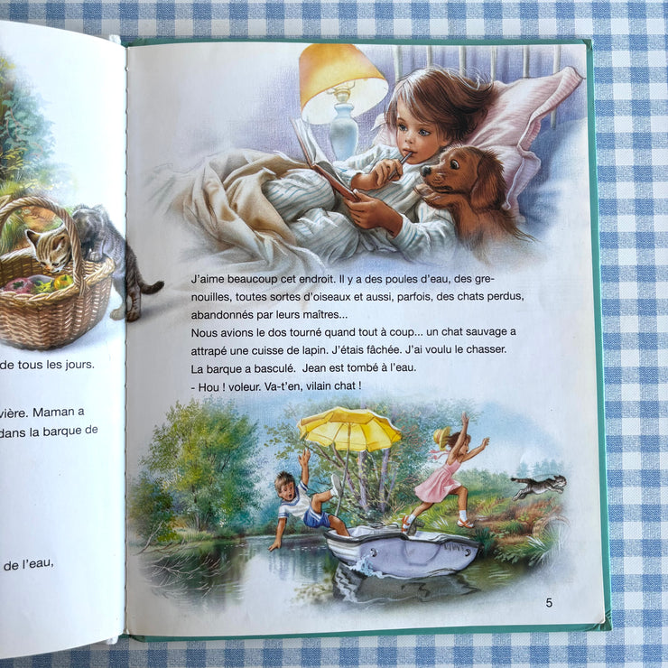 Livre Martine et le chaton vagabond