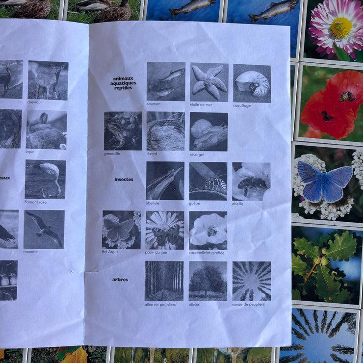 Jeu Je mémorise Mémo Nature