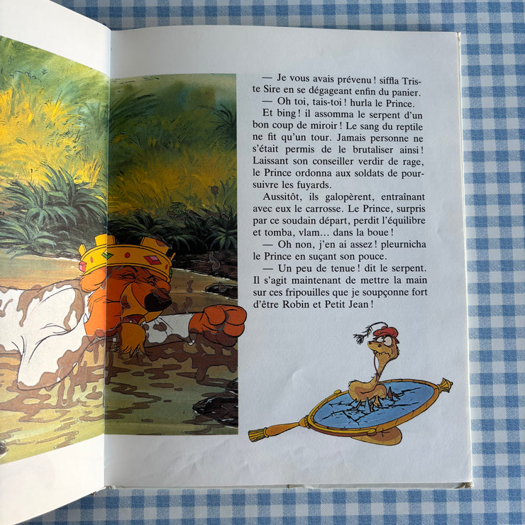 Livre Robin des bois