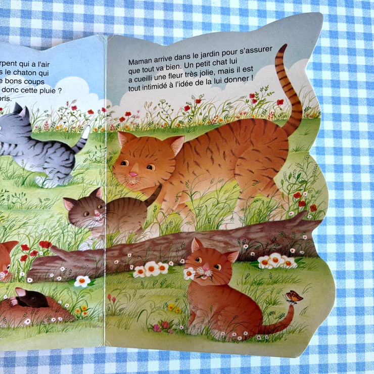 Livre mon petit chat