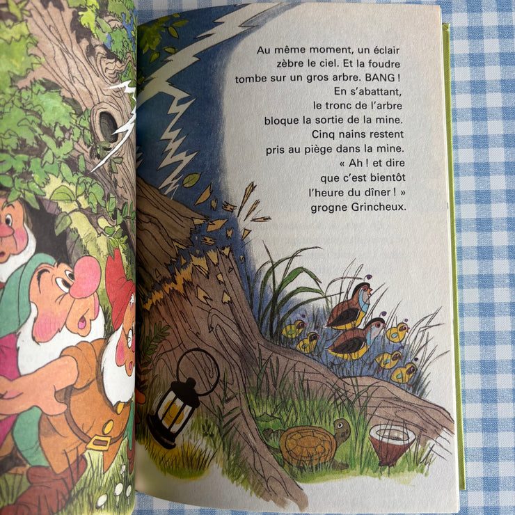 Livre une journée mouvementée