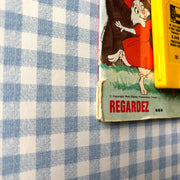 Livre cassette  Robin des bois