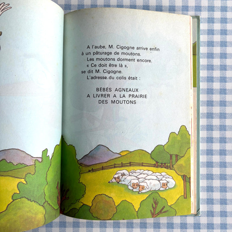 Livre Lambert le petit Lion