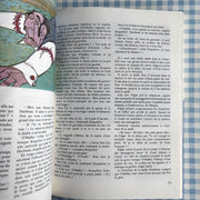 Livre Le monde enchanté de Walt Disney
