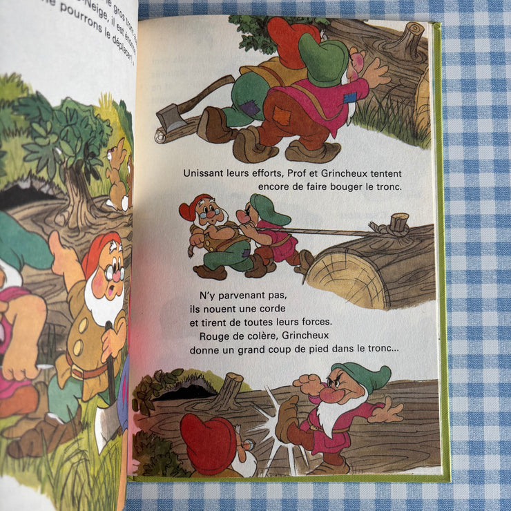 Livre une journée mouvementée