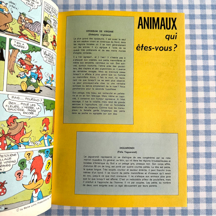 Magazine Woody Woodpecker n•1