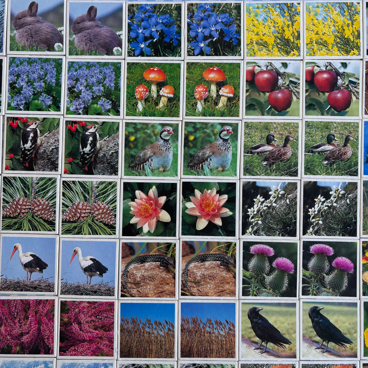 Jeu Je mémorise Mémo Nature