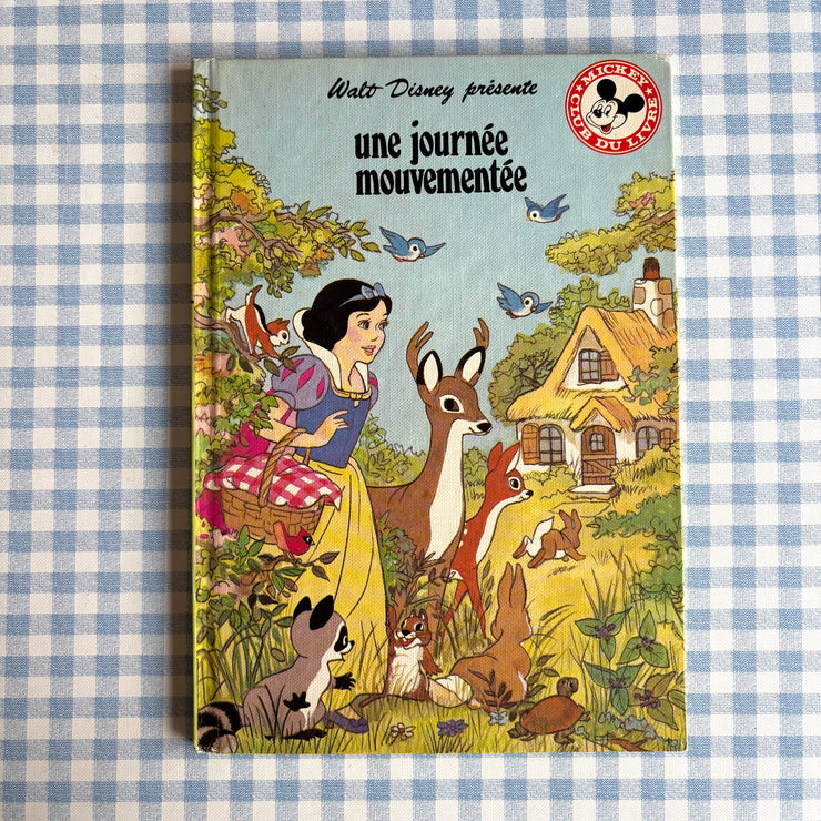 Livre une journée mouvementée