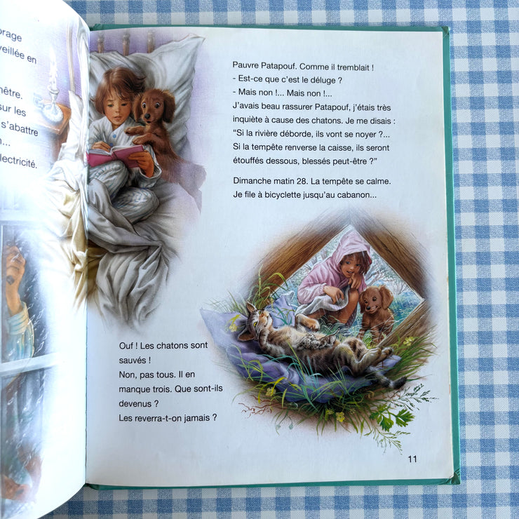 Livre Martine et le chaton vagabond