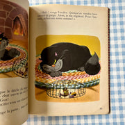 Livre Les amis de Cendrillon