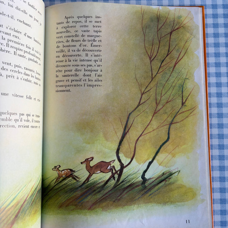 Livre Bambi