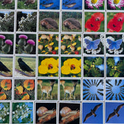 Jeu Je mémorise Mémo Nature
