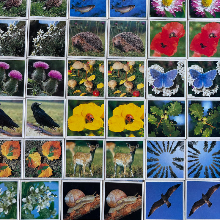 Jeu Je mémorise Mémo Nature