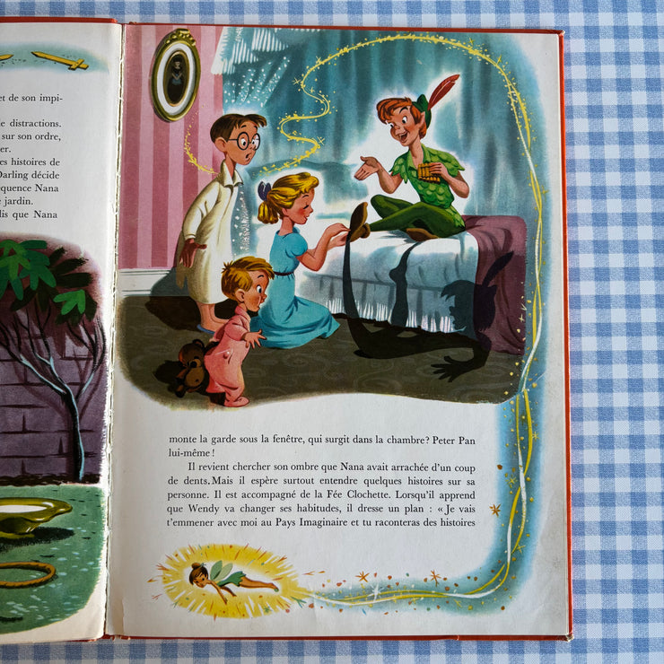 Livre Peter Pan