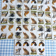 Jeu domino Les animaux