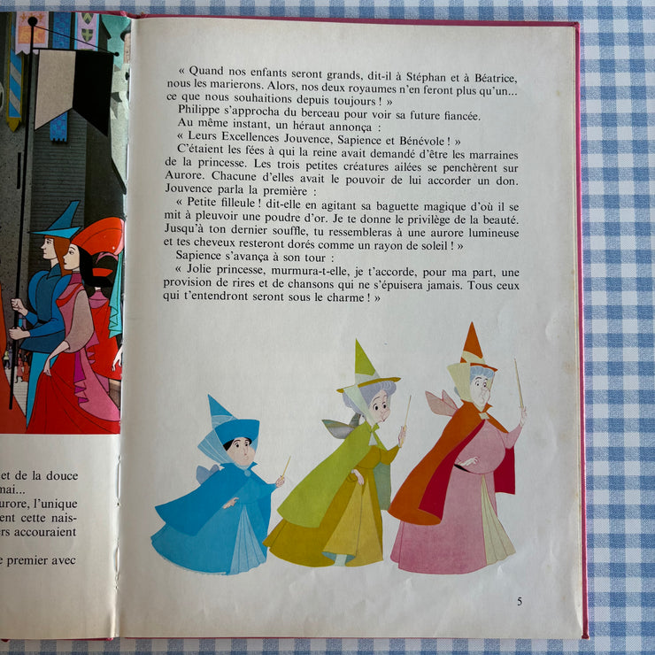 Livre La belle au bois dormant