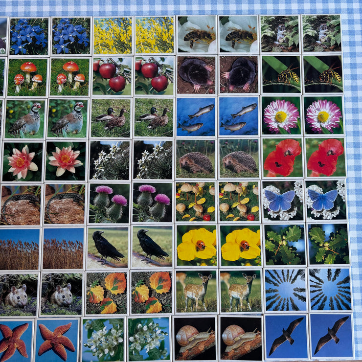 Jeu Je mémorise Mémo Nature