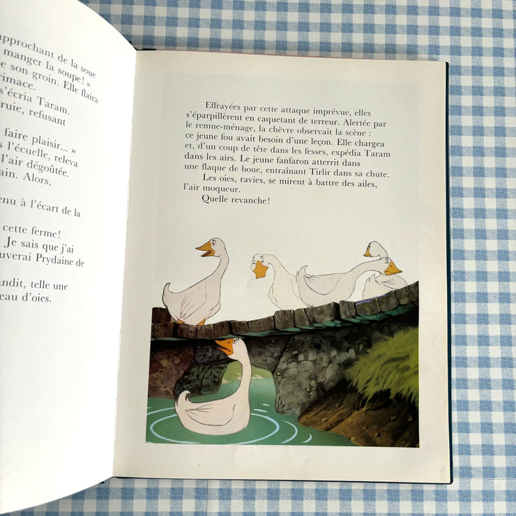 Livre Taram et le chaudron magique