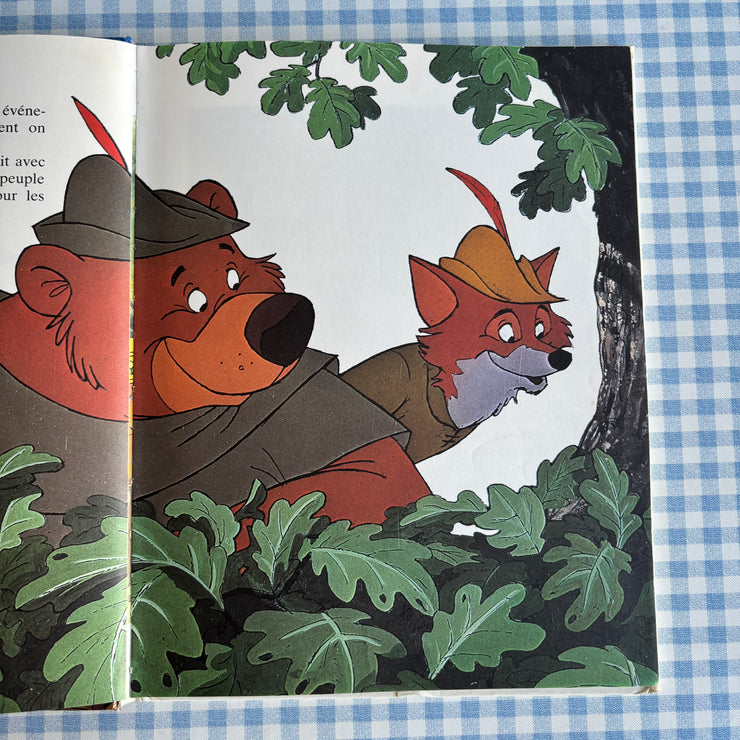 Livre Robin des bois