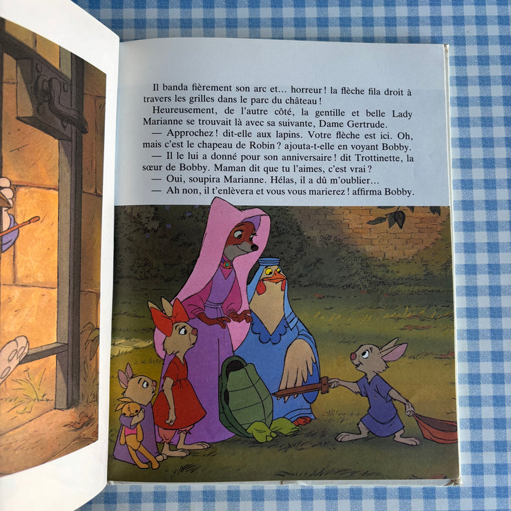 Livre Robin des bois