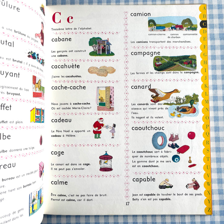 Livre éducatif Mon grand Dictionnaire