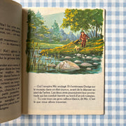 Livre Mic et Dodge à la chasse