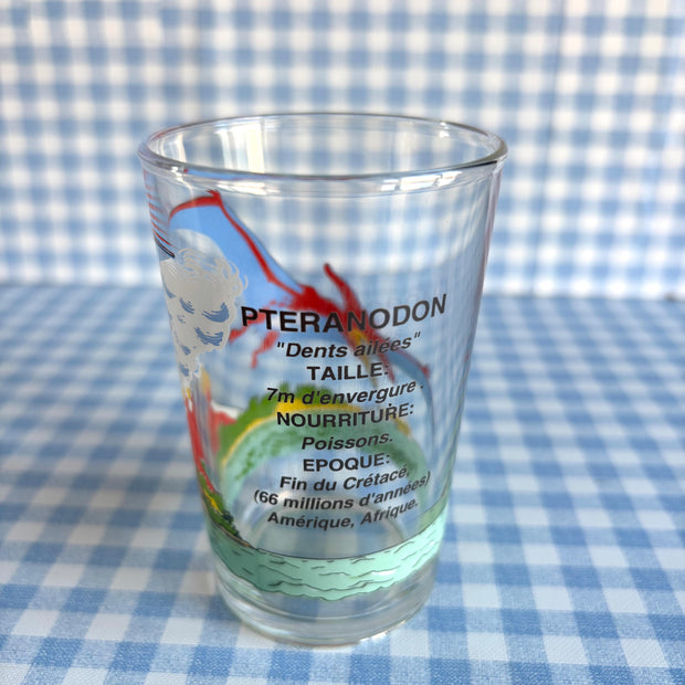 Verre Ptéranodon