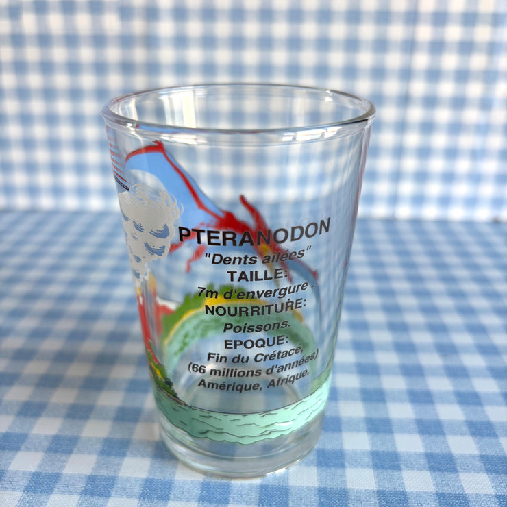 Verre Ptéranodon