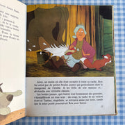 Livre Rox et Rouky