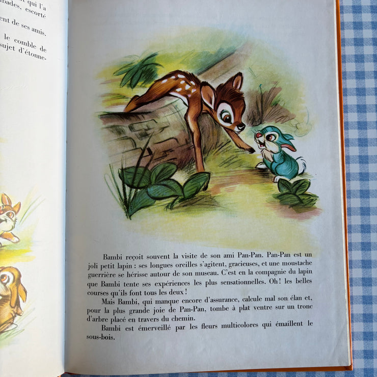Livre Bambi