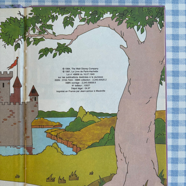 Livre Un nouveau tour pour robin des bois