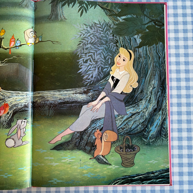 Livre La belle au bois dormant
