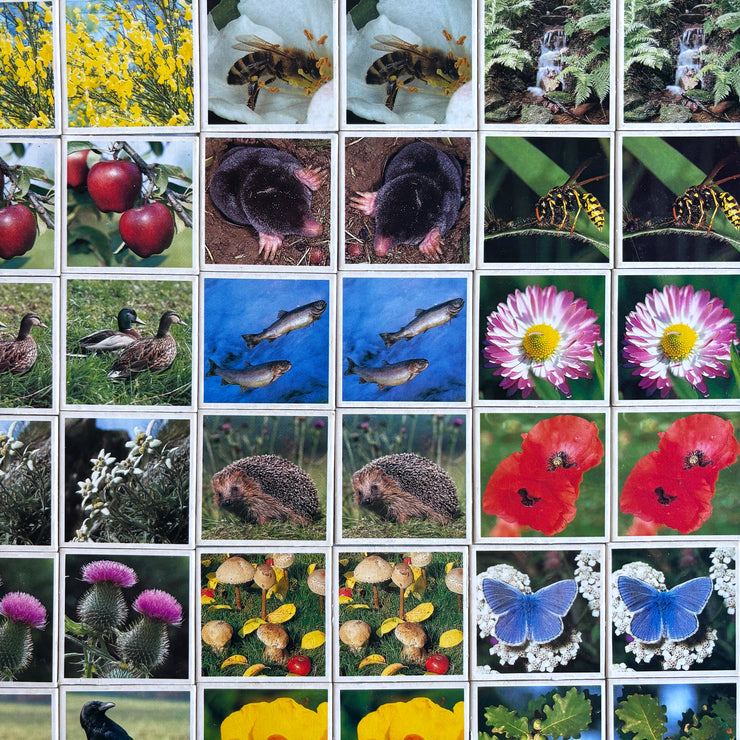 Jeu Je mémorise Mémo Nature