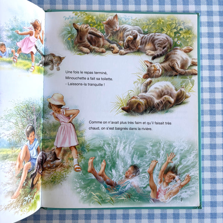 Livre Martine et le chaton vagabond