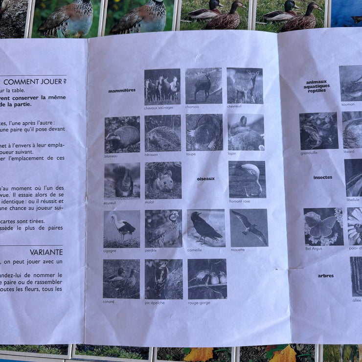 Jeu Je mémorise Mémo Nature
