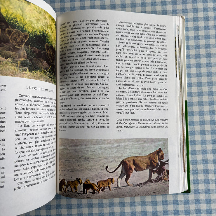 Livre Le monde enchanté de Walt Disney