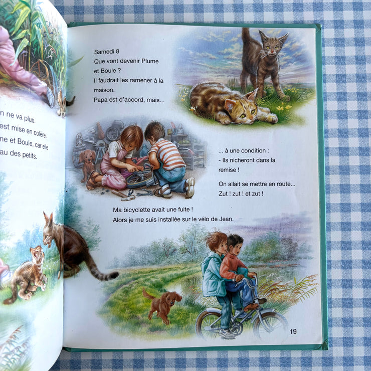 Livre Martine et le chaton vagabond