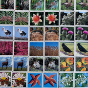 Jeu Je mémorise Mémo Nature