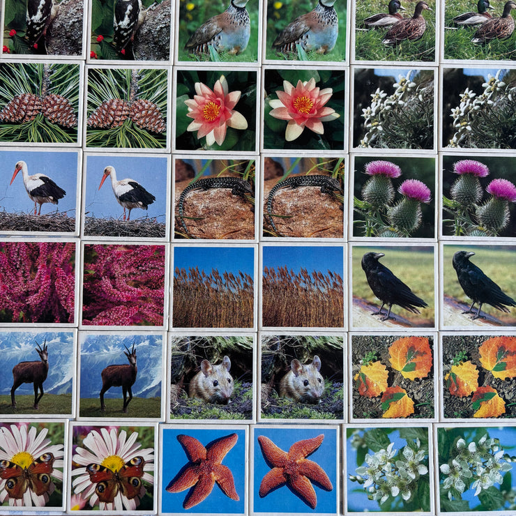 Jeu Je mémorise Mémo Nature
