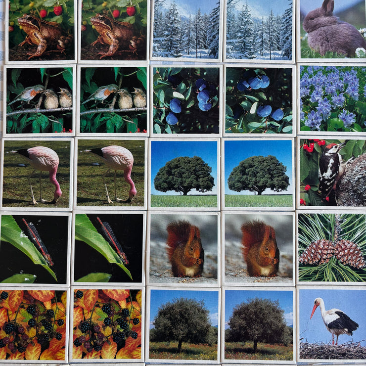 Jeu Je mémorise Mémo Nature