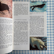 Livre Le monde enchanté de Walt Disney