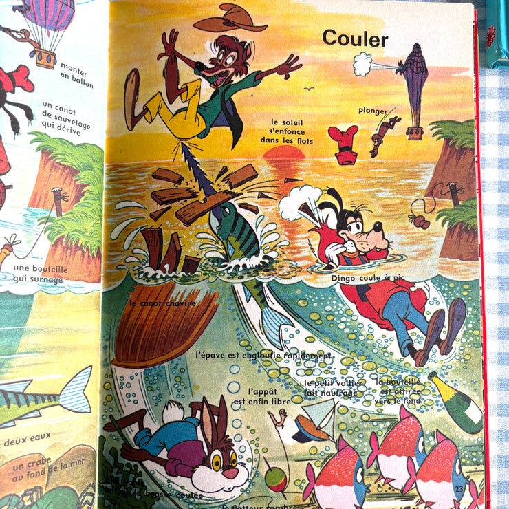 Collection Walt Disney complète