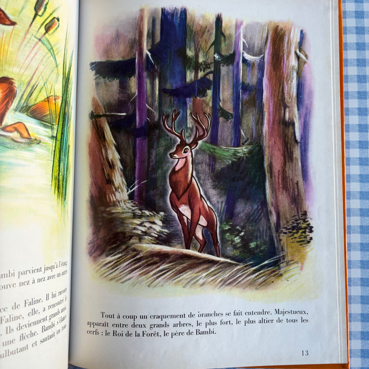 Livre Bambi