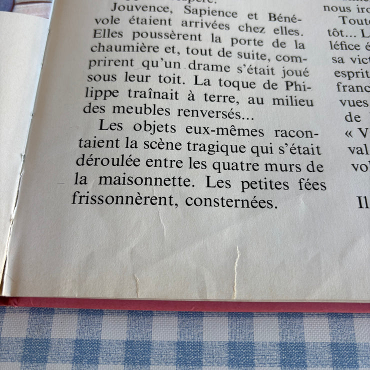 Livre La belle au bois dormant