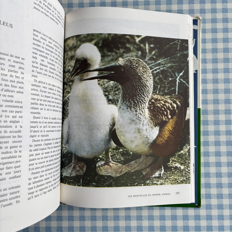 Livre Le monde enchanté de Walt Disney
