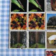 Jeu Je mémorise Mémo Nature