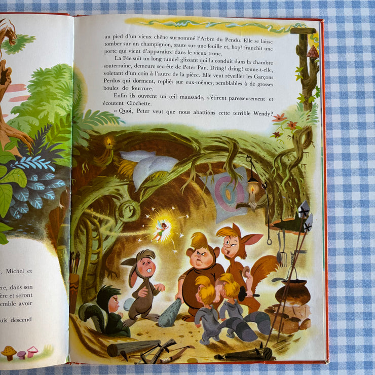 Livre Peter Pan