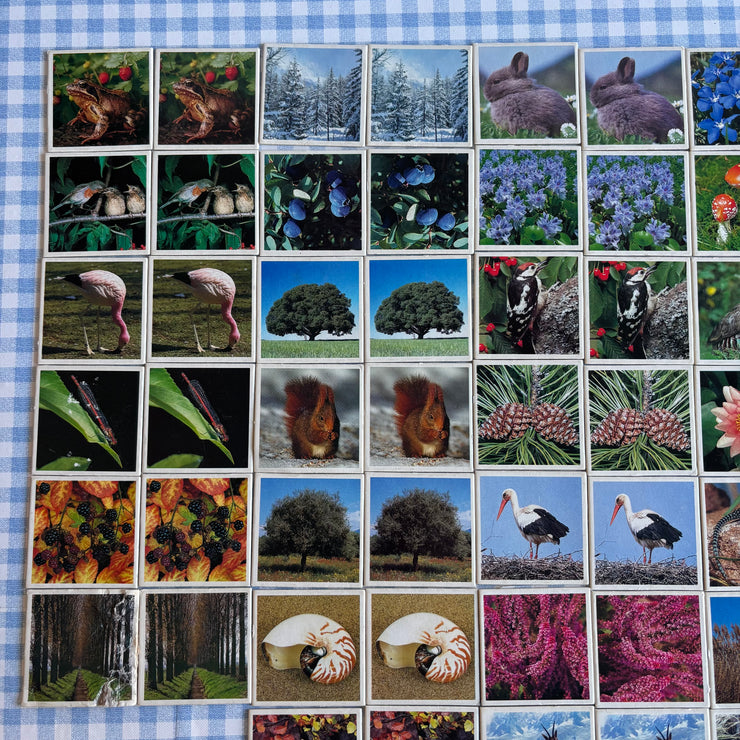 Jeu Je mémorise Mémo Nature