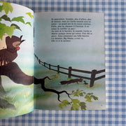 Livre Rox et Rouky